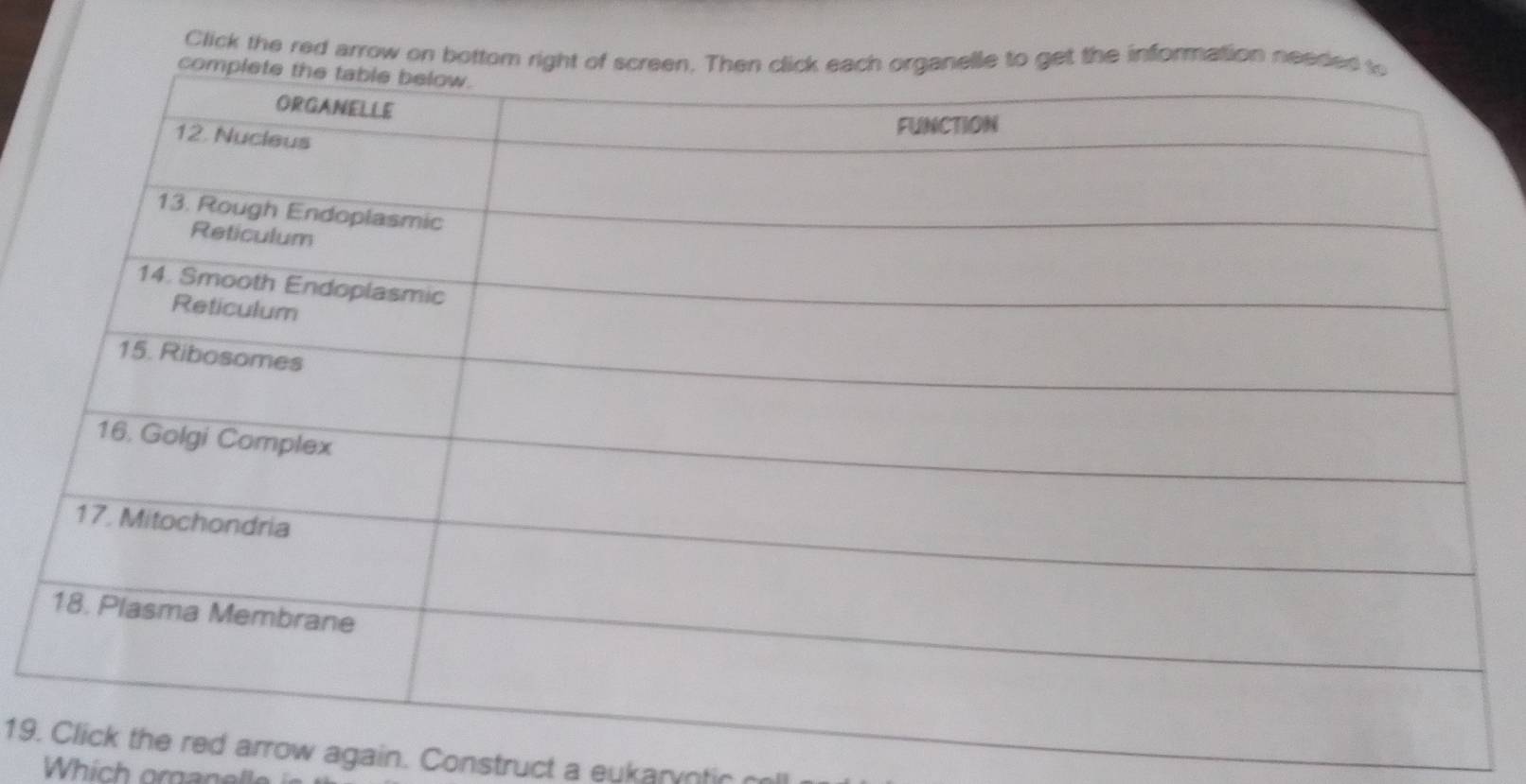 Click the red arrow on bottomget the information nee 
19.arrow again. Construct a eukaryntic
h c r a