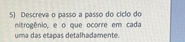 Descreva o passo a passo do ciclo do 
nitrogênio, e o que ocorre em cada 
uma das etapas detalhadamente.