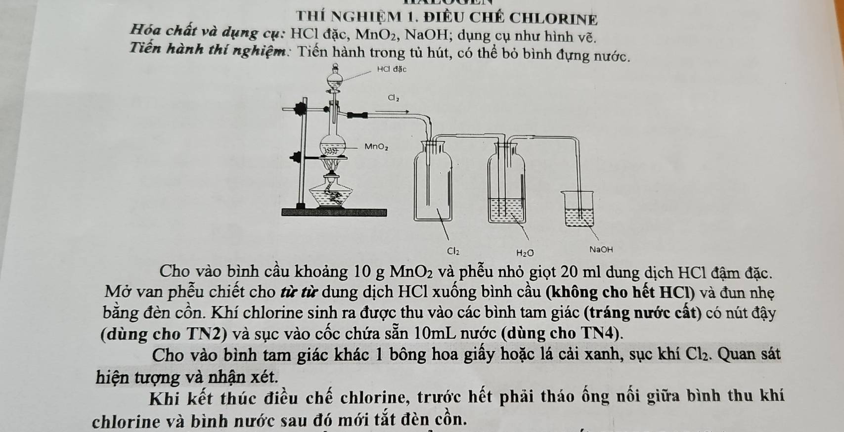 THÍ NGHIệM 1. đIÊU CHÊ CHLORINE
Hóa chất và dụng cụ: HCl đặc, MnO_2 , NaOH; dụng cụ như hình vẽ.
Tiến hành thí nghiệm: Tiến hành trong tủ hút, có thể bỏ bình đựng nước.
Cho vào bình cầu khoảng 10 g Mn O_2 và phễu nhỏ giọt 20 ml dung dịch HCl đậm đặc.
Mở van phễu chiết cho từ từ dung dịch HCl xuống bình cầu (không cho hết HCl) và đun nhẹ
bằng đèn cồn. Khí chlorine sinh ra được thu vào các bình tam giác (tráng nước cất) có nút đậy
(dùng cho TN2) và sục vào cốc chứa sẵn 10mL nước (dùng cho TN4).
Cho vào bình tam giác khác 1 bông hoa giấy hoặc lá cải xanh, sục khí Cl_2. Quan sát
hiện tượng và nhận xét.
Khi kết thúc điều chế chlorine, trước hết phải tháo ống nối giữa bình thu khí
chlorine và bình nước sau đó mới tắt đèn cồn.