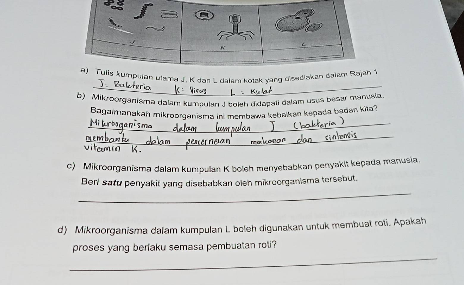 utama J, K dan L dalam kotak yang disediak1 
b) Mikroorganisma dalam kumpulan J boleh didapati dalam usus besar manusia. 
_ 
Bagaimanakah mikroorganisma ini membawa kebaikan kepada badan kita? 
_ 
me 
c) Mikroorganisma dalam kumpulan K boleh menyebabkan penyakit kepada manusia. 
_ 
Beri satu penyakit yang disebabkan oleh mikroorganisma tersebut. 
d) Mikroorganisma dalam kumpulan L boleh digunakan untuk membuat roti. Apakah 
_ 
proses yang berlaku semasa pembuatan roti?