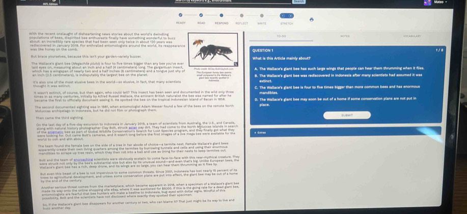 READY RITE TRETCH
With the recent onslaught of disheartening news stories about the world's dwindling
populations of bees, dispirited bee enthusiasts finally have something wonderful to bur. 10-00
rediscovered in January 2019. For enthralled entomologists around the world, its reappearance
was like honey on the comb .
QUESTION 1
lut brace yourselves, because this isn't your garden-variety buzzer. What is this Article mainly about?
which has a wingspan of nearly two and a half inches (6 centimeters) and a tongue just shy of A. The Wallace's giant bee has such large wings that people can hear them thrumyning when it flies
an inch (2.5 centimeters), is indisputably the largest bee on the planet. 8. The Wallace's giant bee was rediscovered in Indonesia after many scientists had assumed it was
it's also one of the most elusive bees in the world-so elusive, in fact, that many scientists
extinct
C. The Wallace's glant bee is four to five times bigger than more common bees and has enormous
mandibles
times in as many centuries, initially by Alfred Russel Wallace, the eminent British naturalist the bee was named for after he D. The Wallace's glant bee may soon be out of a home if some conservation plans are not put in
became the first to officially document seeing it. He spotted the bee on the tropical Indonesian island of Bacan in 1858. place.
The second documented sighting was in 1985 when entomologist Adam Masser found a few of the bees on the remote North 
    
On the last day of a five-day excursion to indonesia in January 2019, a team of scientists from Australia, the U.S., and Canada,
along with natural history photographer Clay Bolt, struck apian pay dirt. They had come to the North Moluccas Islands in search
were looking for. Out came Bolt's cameras, and it wasn't long before the first Images of a live mega bee were avsilable for the
The team found the female bee on the side of a tree in her abode of choice—a termite nest. Female Wallace's gant beer
apparently create their own living quarters among the termites by burrowing tunnels and cells and using their enormous
mandibles to scrape up tree resin, which they then roll into a ball and use as lining for their nests to keep termites out
holt and the team of encroaching scientists were obviously ecstatic to come face-to-face with this near-mythical creature. They
were struck not only by the bee's substantial size but also by its unusual sound—and even that's big. Unlike European bees, the
Wallace's glant bee has a rich, deep drone, and its wings are so large, you can hear them thrumming as it flies by
But even this beast of a bee is not impervious to some common threats. Since 2001, Indonesia has lost nearly 15 percent of its
trees to agricultural development, and unless some conservation plans are put into effect, the giant bee may be out of a home
Another serious threal comes from the marketplace, which became apparent in 2018, when a specimen of a Walliace's glant be
made its way onto the online shopping site ellay, where it was auctioned for $9100. If this is the going rate for a dead gant bee
entomoingists are fearful that bee hunters will make a beeline to Indonesia, bug-eyed with dollar signs. Mindful of this
possibility. Bolt and the scientists have not disclosed where exactly they spotted their specimen
So, if the Wallace's giant bee disappears for another century or two, who can blame it? That just might be its way to live and