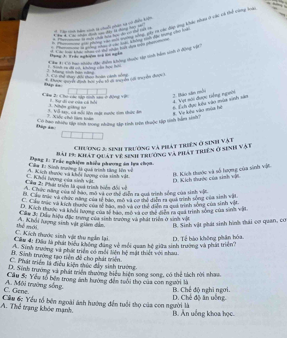 Bường 1
d. Tân tính bảm sinh là chuỗi phản xạ có điều kiện
5. Pheromone giải phóng vào mới trường sóng, gây ra các đáp ứng khác nhau ở các cá thể cùng loài a
Câu 4 Các nhân định sau đây là đúng hay sai?
a. Pheromone là một chất hóa học do cơ thể tiết rà
c. Pheromone là giống nhau ở các loài, không tính đặc trưng cho loài
d. Các loài khác nhâu có thể nhận biết dựa trên pheromone.
Dạng 3: Trắc nghiệm trả lời ngắn
Câu 1: Có bao nhiều đặc điểm không thuộc tập tính bảm sinh ở động vật?
1. Sinh ra đã có, không cản học hỏi.
2. Mang tỉnh bản năng
3. Có thể thay đổi theo hoàn cảnh sống
4. Được quyết định bởi yếu tổ di truyền (di truyền được).
Đáp ản:
Câu 2: Cho các tập tính sau ở động vật:
2. Bảo săn mồi
1. Sự di cư của cá hồi
4. Vẹt nói được tiếng người
3. Nhện giăng tơ
6. Ếch đực kêu vào mùa sinh sản
S. Vỗ tay, cá nổi lên mặt nước tìm thức ăn
8. Ve kêu vào mùa hè
7. Xiếc chó làm toán
Có bao nhiêu tập tính trong những tập tính trên thuộc tập tính bầm sinh?
Đáp án:
chương 3: sinh trưởng và phát tRIệN ở sinh VậT
bài 19: khát quát vẻ sinh trưởng và phát trIện ở sINH Vật
Dạng 1: Trắc nghiệm nhiều phương án lựa chọn.
Câu 1: Sinh trưởng là quá trình tăng lên về
A. Kích thước và khối lượng của sinh vật.
B. Kích thước và số lượng của sinh vật.
C. Khối lượng của sinh vật.
D. Kích thước của sinh vật.
Cầu 2: Phát triển là quá trình biến đối về
A. Chức năng của tế bào, mô và cơ thể diễn ra quá trình sống của sinh vật.
B. Cầu trúc và chức năng của tế bào, mô và cơ thể diễn ra quá trình sống của sinh vật.
C. Cấu trúc và kích thước của tế bào, mô và cơ thể diễn ra quá trình sống của sình vật.
D. Kích thước và khối lượng của tế bào, mô và cơ thể diễn ra quá trình sống của sinh vật.
Cầu 3: Dấu hiệu đặc trưng của sinh trưởng và phát triển ở sinh vật
A. Khối lượng sinh vật giảm dần. B. Sinh vật phát sinh hình thái cơ quan, cơ
thể mới.
C. Kích thước sinh vật thu ngắn lại.
D. Tế bào không phân hóa.
Câu 4: Đâu là phát biểu không đúng về mối quan hệ giữa sinh trưởng và phát triển?
A. Sinh trưởng và phát triển có mối liên hệ mật thiết với nhau.
B. Sinh trưởng tạo tiền đề cho phát triển.
C. Phát triển là điều kiện thúc đầy sinh trưởng.
D. Sinh trưởng và phát triển thường biểu hiện song song, có thể tách rời nhau.
Câu 5: Yếu tổ bên trong ảnh hưởng đến tuổi thọ của con người là
A. Môi trường sống.
C. Gene.
B. Chế độ nghỉ ngơi.
D. Chế độ ăn uống.
Câu 6: Yếu tố bên ngoài ảnh hưởng đến tuổi thọ của con người là
A. Thể trạng khỏe mạnh.
B. Ăn uống khoa học.
