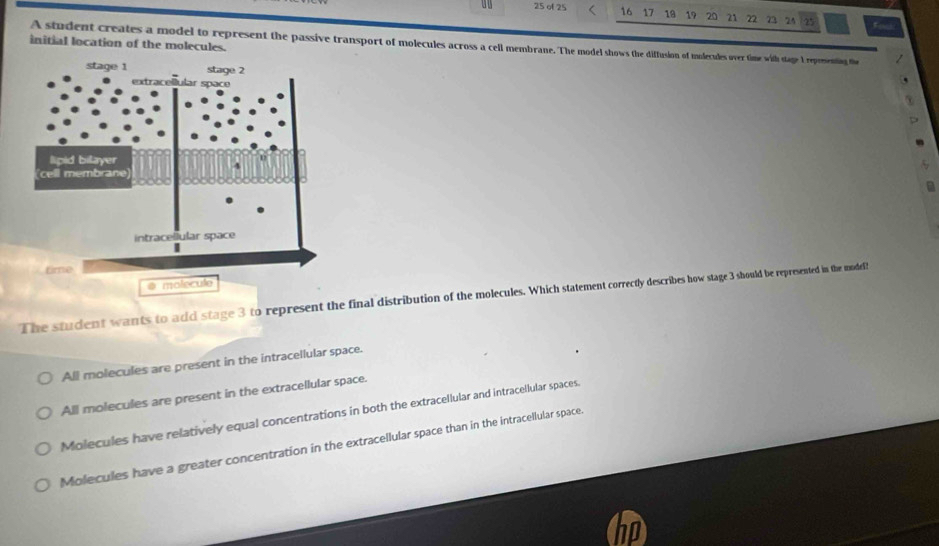 25 of 25 16 17 18 19 20 21 22 73 24 25
Few
initial location of the molecules. A student creates a model to represent the passive transport of molecules across a cell membrane. The model shows the diffusion of inulecules over time with stage I repementin the
@ molecule
The student wants to add stage 3 to represent the final distribution of the molecules. Which statement correctly describes how stage 3 should be represented in the modelf
All molecules are present in the intracellular space.
All molecules are present in the extracellular space.
Molecules have relatively equal concentrations in both the extracellular and intracellular spaces.
Molecules have a greater concentration in the extracellular space than in the intracellular space.