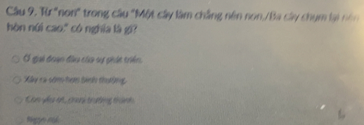 Er 'non" trong câu "Một cây làm chắng nên non,/Ba cây chum lại nón
hòn núi cao," có nghĩa là gi?
Ở qui đoạn đầu của sự giát triên
Xây ca côn ham binh dhường
Con đụ th , thac trường thành