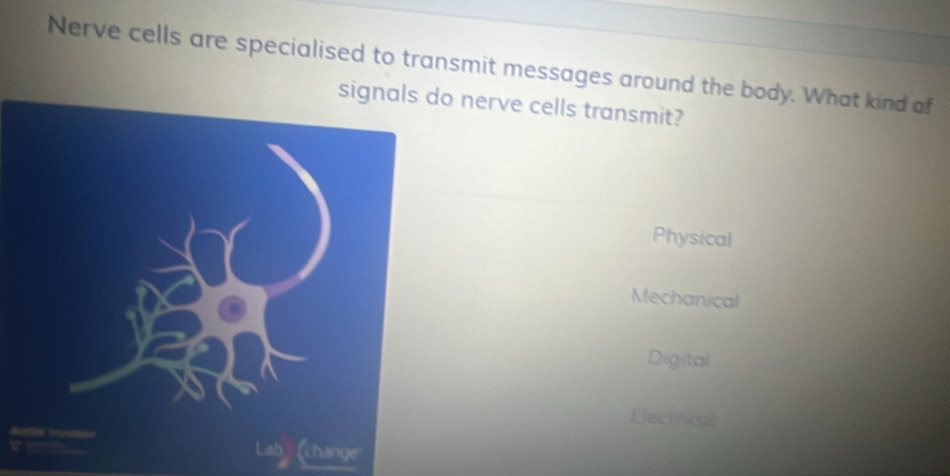 Nerve cells are specialised to transmit messages around the body. What kind af
o nerve cells transmit?
Physical
Mechanical
Digital
Llectrical