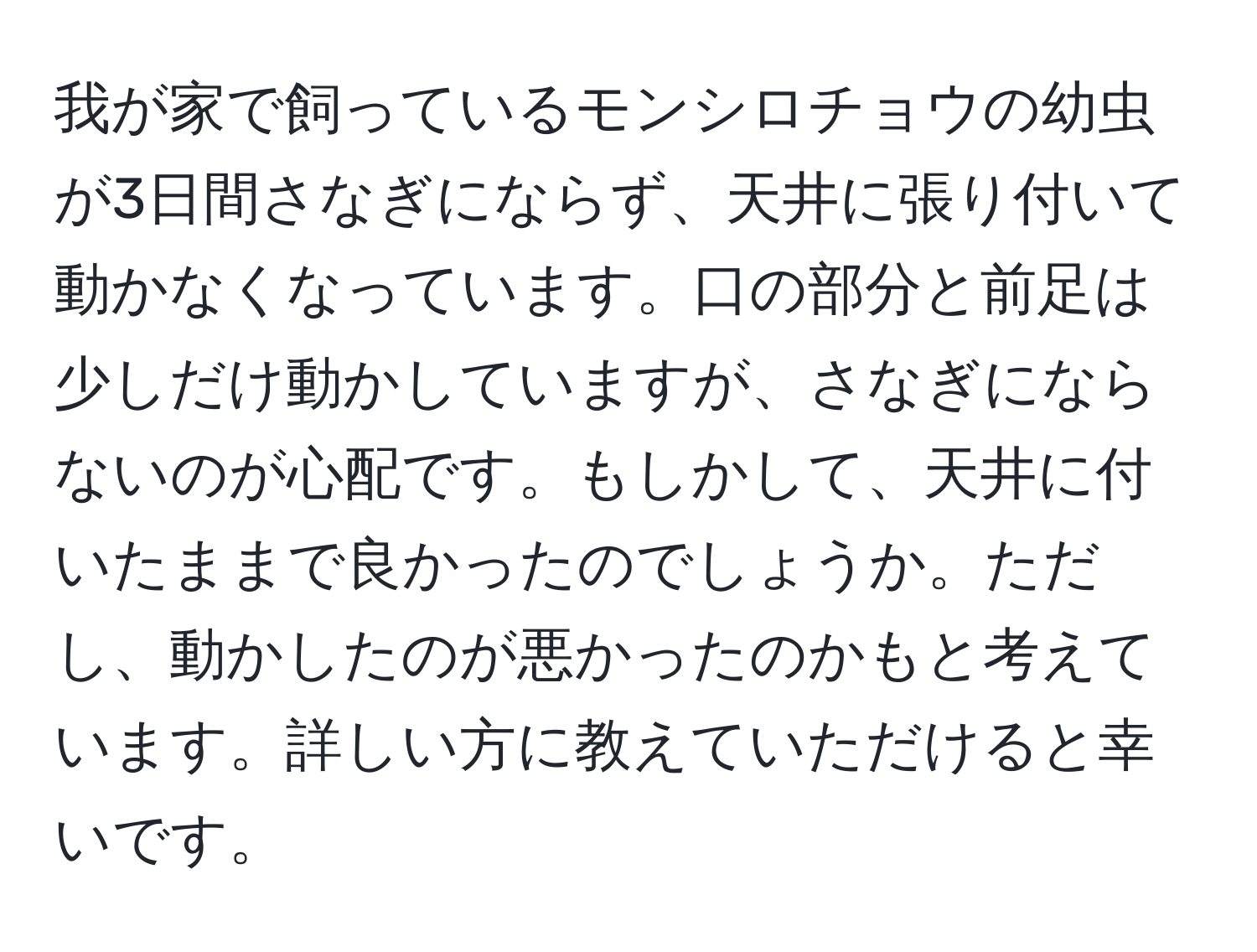 我が家で飼っているモンシロチョウの幼虫が3日間さなぎにならず、天井に張り付いて動かなくなっています。口の部分と前足は少しだけ動かしていますが、さなぎにならないのが心配です。もしかして、天井に付いたままで良かったのでしょうか。ただし、動かしたのが悪かったのかもと考えています。詳しい方に教えていただけると幸いです。