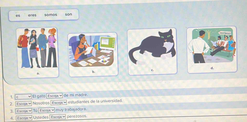 es eres somos son 
a. 
1. c El gato | Escoja: de mi madre. 
2. Escoja: Nosotros Escoja estudiantes de la universidad. 
3. Escoja: Tú Escoja: muy trabajadora. 
4. Escoja:✔ Ustedes Escoja perezosos