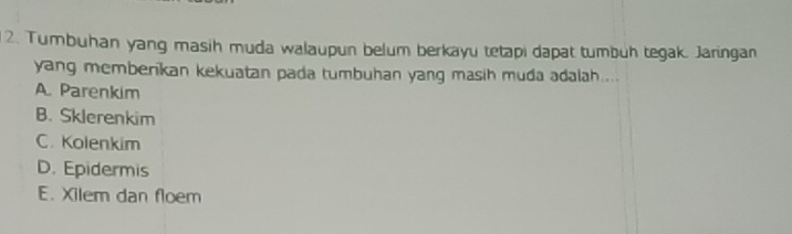 Tumbuhan yang masih muda walaupun belum berkayu tetapi dapat tumbuh tegak. Jaringan
yang memberikan kekuatan pada tumbuhan yang masih muda adalah....
A. Parenkim
B. Sklerenkim
C. Kolenkim
D. Epidermis
E. Xilem dan floem