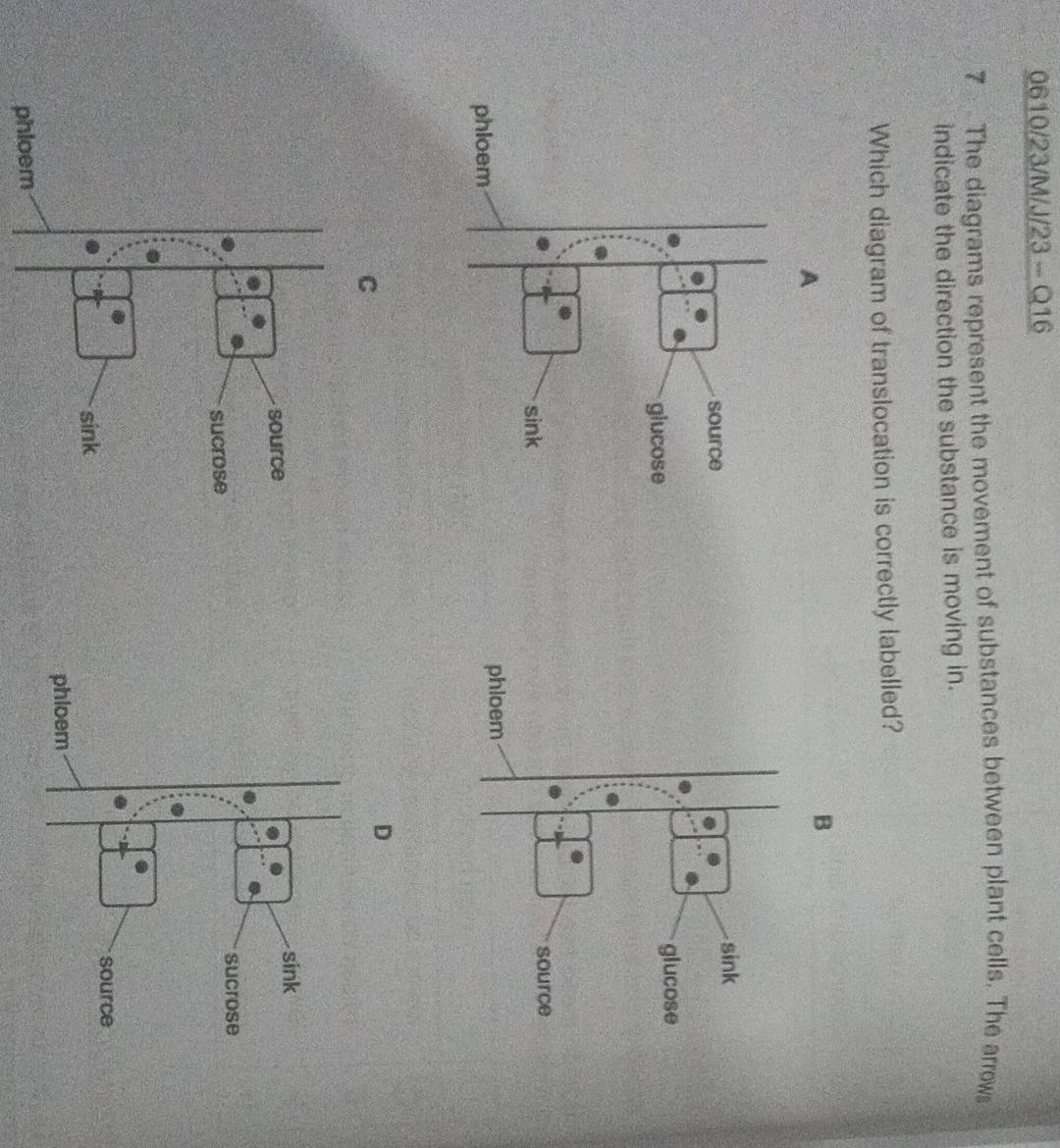 0610/23/M/J/23 - Q16 
7 The diagrams represent the movement of substances between plant cells. The arrow 
indicate the direction the substance is moving in. 
Which diagram of translocation is correctly labelled?