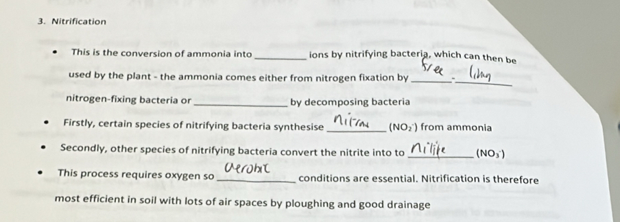 Nitrification 
This is the conversion of ammonia into _ions by nitrifying bacteria, which can then be 
_ 
used by the plant - the ammonia comes either from nitrogen fixation by_ 
nitrogen-fixing bacteria or_ by decomposing bacteria 
Firstly, certain species of nitrifying bacteria synthesise _ (NO_2^-) from ammonia 
Secondly, other species of nitrifying bacteria convert the nitrite into to _ (NO_3^-)
This process requires oxygen so _conditions are essential. Nitrification is therefore 
most efficient in soil with lots of air spaces by ploughing and good drainage