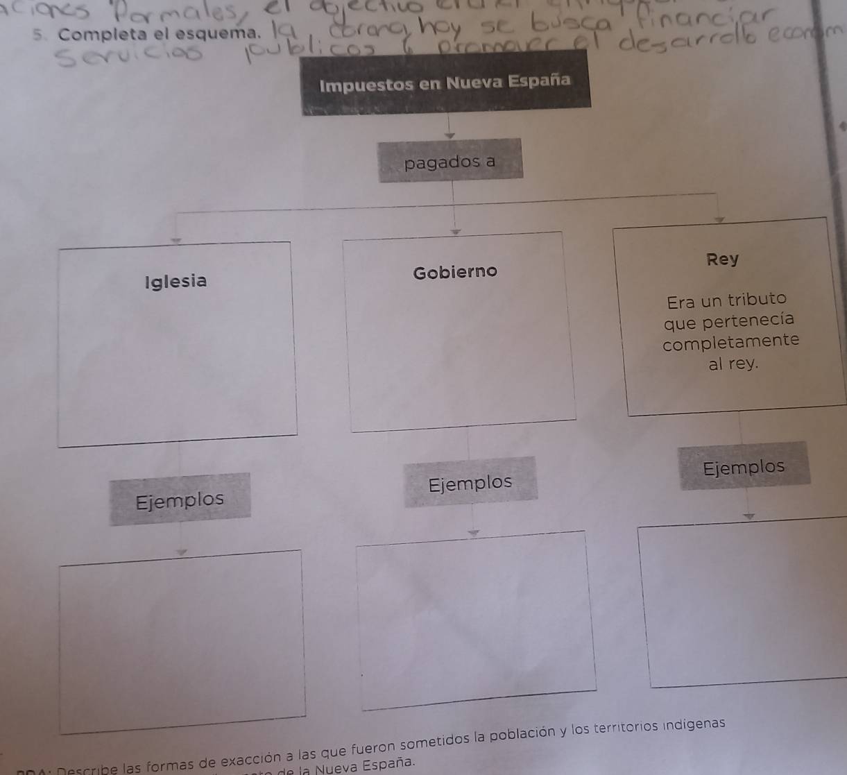 Completa el esquema. 
Impuestos en Nueva España 
pagados a 
Rey 
Iglesia Gobierno 
Era un tributo 
que pertenecía 
completamente 
al rey. 
Ejemplos Ejemplos Ejemplos 
* Describe las formas de exacción a las que fueron sometidos la población y los territorios indígenas 
de la Nueva España.