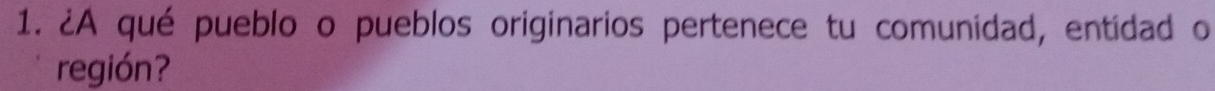 ¿A qué pueblo o pueblos originarios pertenece tu comunidad, entidad o 
región?