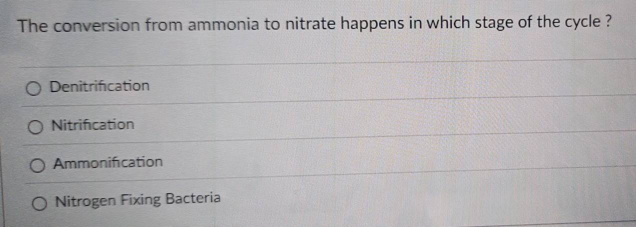 The conversion from ammonia to nitrate happens in which stage of the cycle ?
Denitrification
Nitrification
Ammonification
Nitrogen Fixing Bacteria