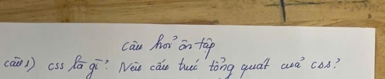 cau hor on tāp 
cain) css Pā gí? Neic cáu tuò tòng quat aè cos?