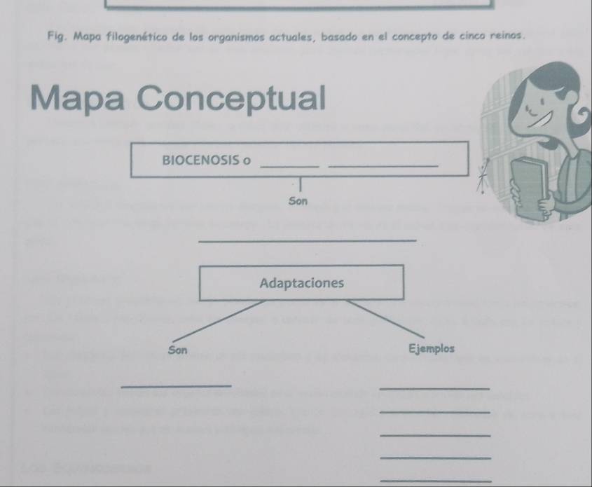 Fig. Mapa filogenético de los organismos actuales, basado en el concepto de cinco reinos. 
Mapa Conceptual 
BIOCENOSIS o_ 
_ 
Son 
_ 
Adaptaciones 
Son Ejemplos 
_ 
_ 
_ 
_ 
_ 
_