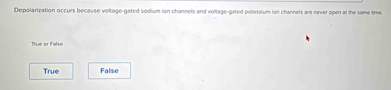 Depolarization occurs because voltage-gated sodium ion channels and voltage-gated potassium ion channels are never open at the same time.
True or False
True False