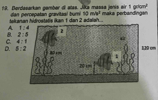 Berdasarkan gambar di atas. Jika massa jenis air 1gr/cm^2
dan percepatan gravitasi bumi 10m/s^2 maka perbandingan
tekanan hidrostatis ikan 1 dan 2 adalah...
A. 1:4
B. 2:5
C. 4:1
D. 5:2 120 cm