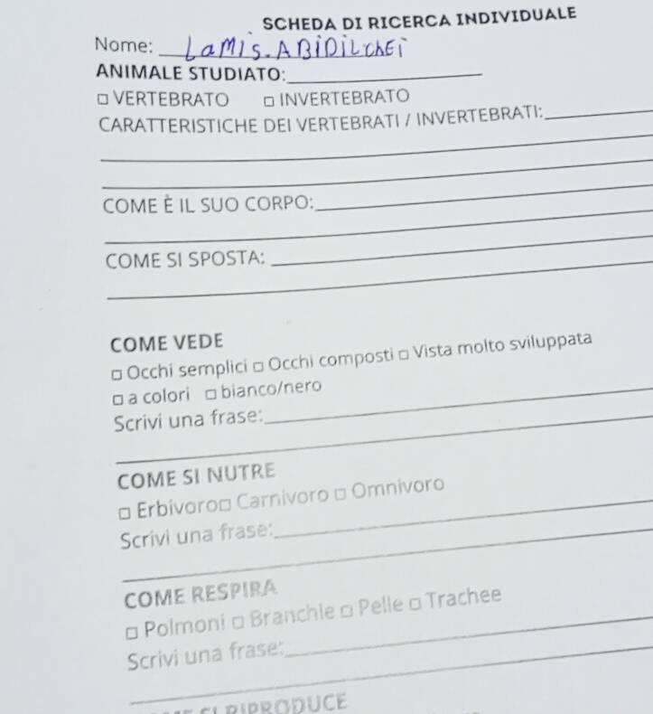 Risolto:SCHEDA DI RICERCA INDIVIDUALE Nome: _ ANIMALE STUDIATO ...