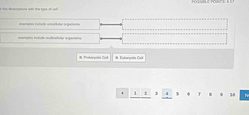 POSSIBLE POINTS: 4.17
h the descriptions with the type of cell
examples include unicellular organisms
examples include multicellular organisms
:: Prokaryotic Cell Eukaryotic Cell
□ _ 123_  1 frac  5 6 7 8 9 10 N