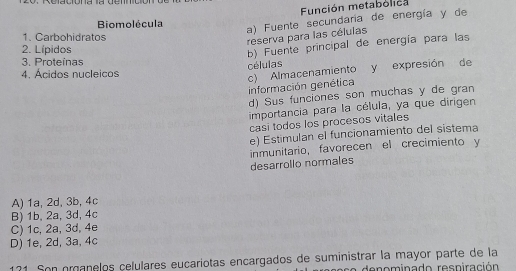 Función metabólica
Biomolécula
a) Fuente secundaría de energía y de
1. Carbohidratos
reserva para las células
2. Lípidos
b) Fuente principal de energía para las
3. Proteínas
células
4. Ácidos nucleicos
c) Almacenamiento y expresión de
información genética
d) Sus funciones son muchas y de gran
importancia para la célula, ya que dirigen
casi todos los procesos vitales
e) Estimulan el funcionamiento del sistema
inmunitario, favorecen el crecimiento y
desarrollo normales
A) 1a, 2d, 3b, 4c
B) 1b, 2a, 3d, 4c
C) 1c, 2a, 3d, 4e
D) 1e, 2d, 3a, 4c
171. Son oranelos celulares eucariotas encargados de suministrar la mayor parte de la
o mina do res niración