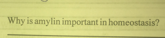 Why is amylin important in homeostasis?