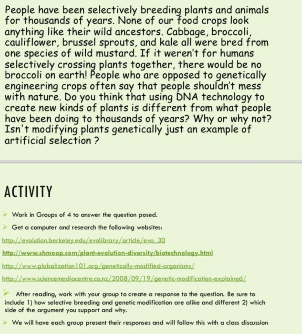 People have been selectively breeding plants and animals 
for thousands of years. None of our food crops look 
anything like their wild ancestors. Cabbage, broccoli, 
cauliflower, brussel sprouts, and kale all were bred from 
one species of wild mustard. If it weren't for humans 
selectively crossing plants together, there would be no 
broccoli on earth! People who are opposed to genetically 
engineering crops often say that people shouldn't mess 
with nature. Do you think that using DNA technology to 
create new kinds of plants is different from what people 
have been doing to thousands of years? Why or why not? 
Isn't modifying plants genetically just an example of 
artificial selection ? 
ACTIVITY 
Work in Groups of 4 to answer the question posed. 
Get a computer and research the following websites: 
http://evolution.berkeley.edu/evolibrary/article/evo 30 
http://www.shmoop.com/plant-evolution-diversity/biotechnology.html 
http://www.globalization101.org/genetically-modified-organisms/ 
http://www.sciencemediacentre.co.nz/2008/09/19/genetic-modification-explained/ 
After reading, work with your group to create a response to the question. Be sure to 
include 1) how selective breeding and genetic modification are alike and different 2) which 
side of the argument you support and why. 
We will have each group present their responses and will follow this with a class discussion