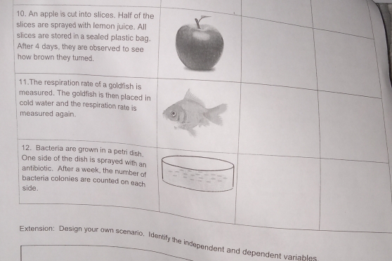 dent and dependent variables