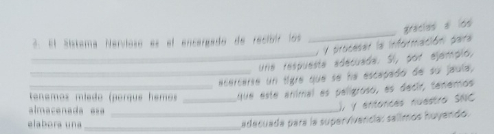 gracias a los 
3. El Sistema Nervioso es el encargado de recibir los 
_ 
y y procesar la información para 
_Uria respuesta adecuada. SI, por ejemplo, 
_ Nttrcarse un tigre que se ha escapado de su jaula, 
tenemos míèdo (perqué hêmos _AUA este animal es pelígroso, as decir, tenemos 
almacenada es_ 
)) y entances nuestra SNC 
elabora una_ 
adecuada para la supervivencia: salímos huyendo.