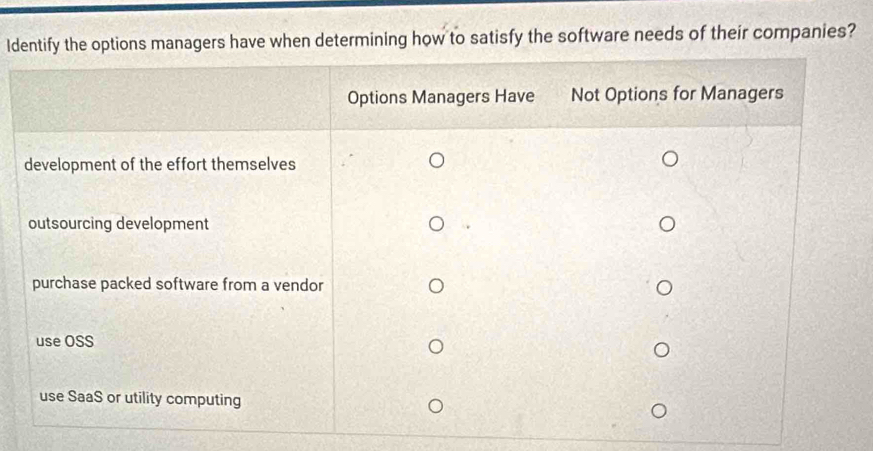 Idoptions managers have when determining how to satisfy the software needs of their companies?