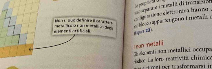 Le proprieta 
toso separare i metalli di transizión 
configurazione elettronica hanno 
Non si può definire il carattere 
metallico o non metallico degli 
sto blocco appartengono i metalli u 
elementi artificiali. 
(Figura 23), 
I non metalli 
Gli elementi non metallici occupa 
riodico. La loro reattività chímica 
re lettroni per trasformarsi in