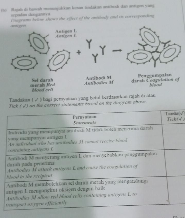 Rajah di bawah menunjukkan kesan tindakan antibodi dan antigen yang 
sepadan dengannya 
Diagrams below shows the effect of the antibody and its corresponding 
Tandakan ( ✓ ) bagi pernyataan yang betul berdasarkan rajah di atas. 
Tick (√) on the correct statements based on the diagram above. 
(√) 
√