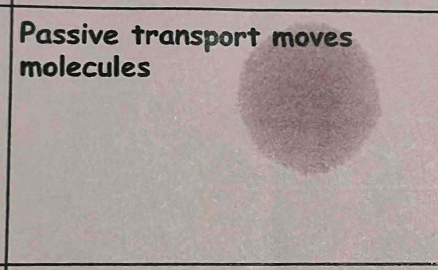 Passive transport moves 
molecules