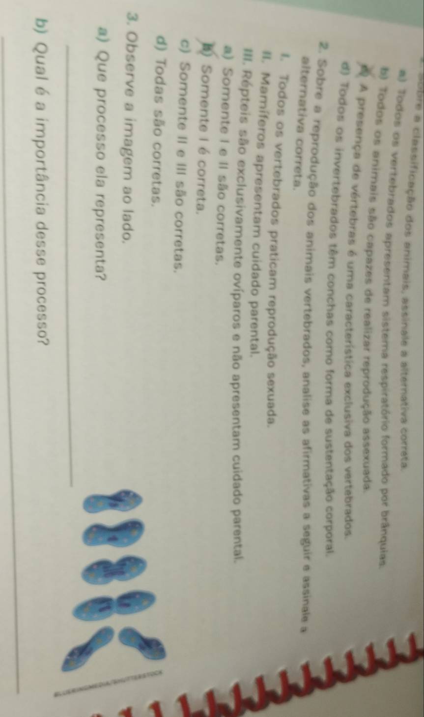 obre a classificação dos animais, assinale a alternativa correta.
a) Todos os vertebrados apresentam sistema respiratório formado por brânquias:
b) Todos os animais são capazes de realizar reprodução assexuada.
A A presença de vértebras é uma característica exclusiva dos vertebrados.
d) Todos os invertebrados têm conchas como forma de sustentação corporal.
2. Sobre a reprodução dos animais vertebrados, analise as afirmativas a seguir e assinale a
alternativa correta.
I. Todos os vertebrados praticam reprodução sexuada.
II. Mamíferos apresentam cuidado parental.
I. Répteis são exclusivamente ovíparos e não apresentam cuidado parental.
a) Somente I e II são corretas.
b) Somente I é correta.
c) Somente II e III são corretas.
d) Todas são corretas.
3. Observe a imagem ao lado.
a) Que processo ela representa?
_
b) Qual é a importância desse processo?
_
