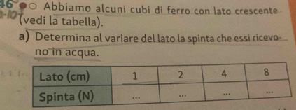 Abbiamo alcuni cubi di ferro con lato crescente
-10 (vedi la tabella). 
a) Determina al variare del lato la spinta che essi ricevo- 
no in acqua.