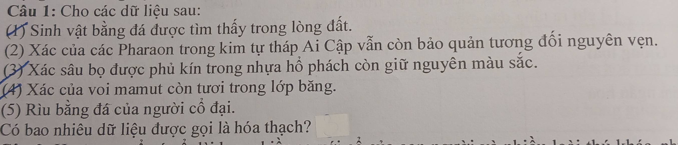 Cho các dữ liệu sau: 
1) Sinh vật bằng đá được tìm thấy trong lòng đất. 
(2) Xác của các Pharaon trong kim tự tháp Ai Cập vẫn còn bảo quản tương đối nguyên vẹn. 
(3) Xác sâu bọ được phủ kín trong nhựa hổ phách còn giữ nguyên màu sắc. 
(4) Xác của voi mamut còn tươi trong lớp băng. 
(5) Rìu bằng đá của người cổ đại. 
Có bao nhiêu dữ liệu được gọi là hóa thạch?