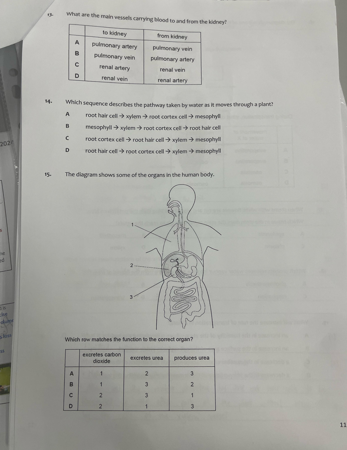 What are the main vessels carrying blood dney?
14. Which sequence describes the pathway taken by water as it moves through a plant?
A root hair cell → xylem → root cortex cell →mesophyll
B mesophyll → xylem → root cortex cell → root hair cell
C root cortex cell → root hair cell → xylem → mesophyll
2024
D root hair cell → root cortex cell → xylem → mesophyll
15. The diagram shows some of the organs in the human body.
he
ed
His
ise
olume
s loss
Which row matches the function to the correct organ?
SS
11