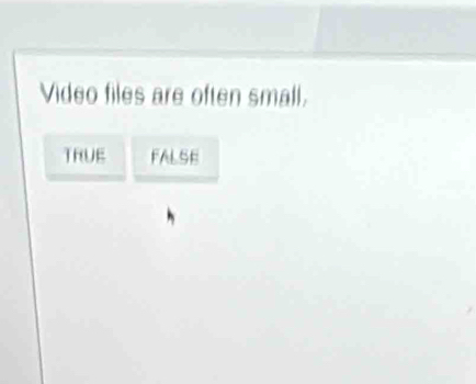 Video files are often small.
TRUE FALSE