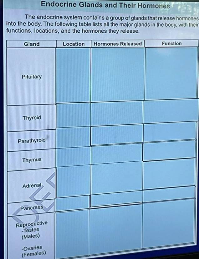 Endocrine Glands and Their Hormones 
The endocrine system contains a group of glands that release hormones 
into the body. The following table lists all the major glands in the body, with their 
functions, locations, and the hormones they release. 
-Ovaries 
(Females)