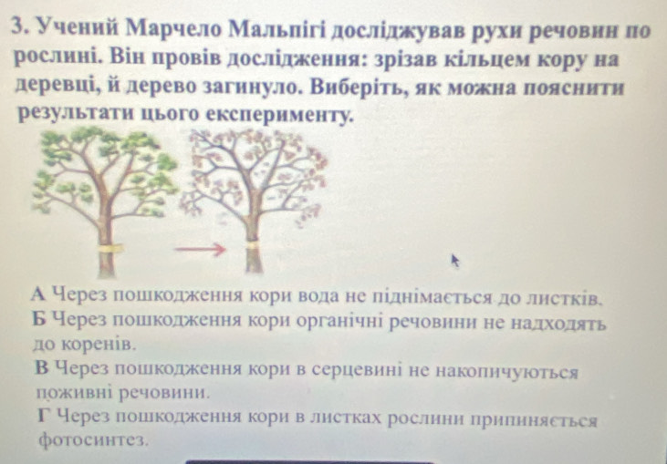 Учений Марчело Мальлігі дослίджував рухи речовенен πо
рослині. Він провів дослідження: зрізав кільцем кору на
деревці, й дерево загинулоδ Виберίтьό як можна πояснити
резулльтати цього експерименту.
А Черезπошкодження кори вода не ліднімасться до лнстків.
Бчерез δπошекодежкененаяα кори органічні речовини не надхοоοдδягь
до коренів.
ВЧерез пошкодженнякори в серцевині не накопнчуюоться
поживні речовини.
Г Нерез пошлкодкення кори в ллистках рослини приπинясться
фоtосинте3.