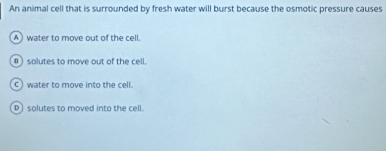 An animal cell that is surrounded by fresh water will burst because the osmotic pressure causes
A)water to move out of the cell.
B solutes to move out of the cell.
c)water to move into the cell.
D) solutes to moved into the cell.