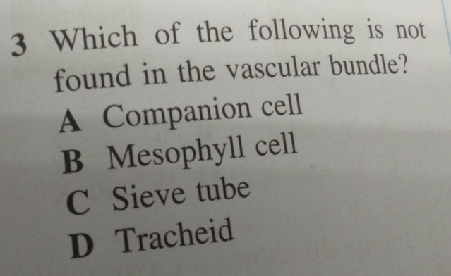 Which of the following is not
found in the vascular bundle?
A Companion cell
B Mesophyll cell
C Sieve tube
D Tracheid