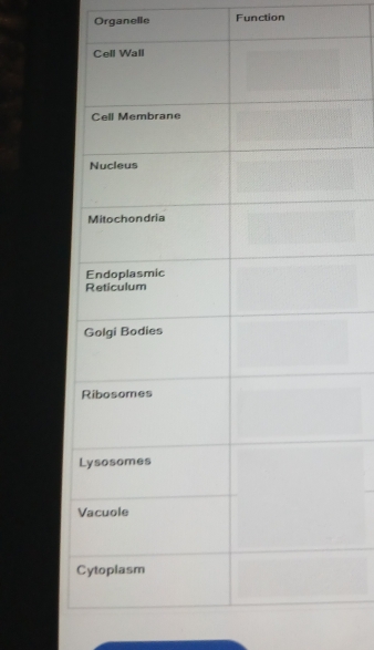 Organelle Function