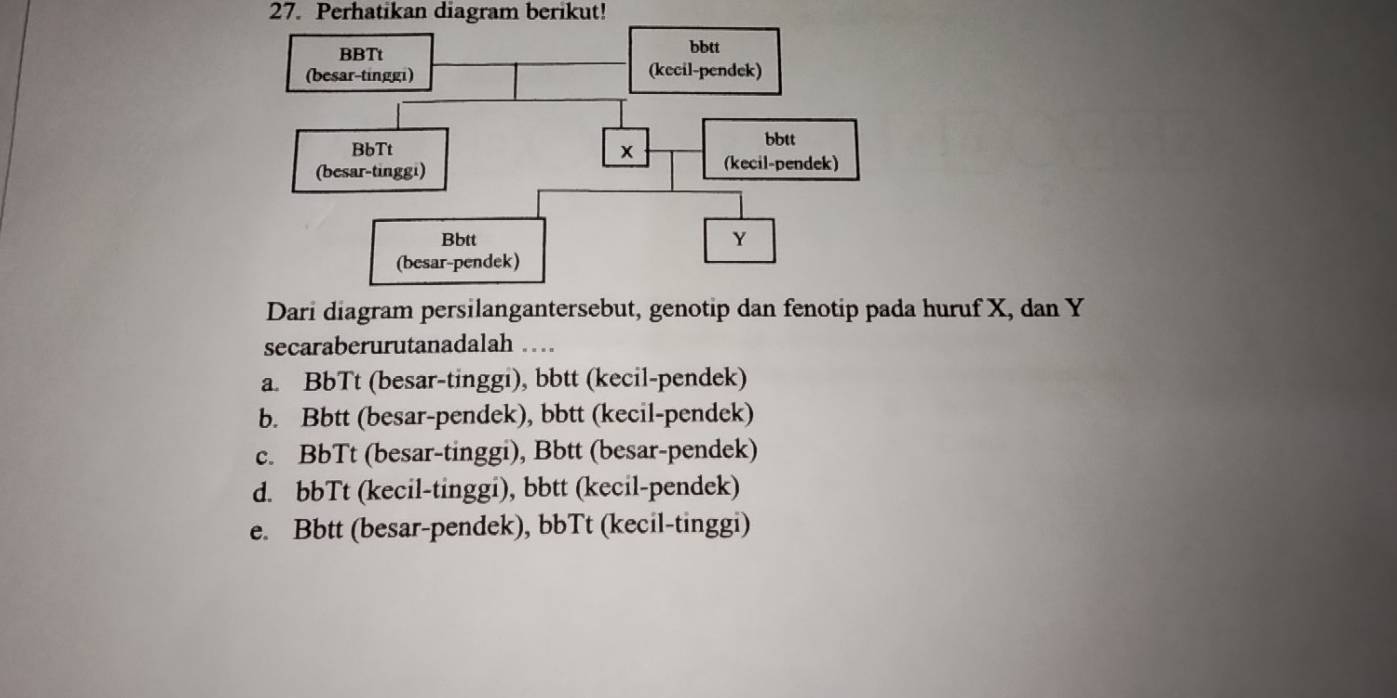 Perhatikan diagram berikut!
Dari diagram persilangantersebut, genotip dan fenotip pada huruf X, dan Y
secaraberurutanadalah
a. BbTt (besar-tinggi), bbtt (kecil-pendek)
b. Bbtt (besar-pendek), bbtt (kecil-pendek)
c. BbTt (besar-tinggi), Bbtt (besar-pendek)
d. bbTt (kecil-tinggi), bbtt (kecil-pendek)
e. Bbtt (besar-pendek), bbTt (kecil-tinggi)