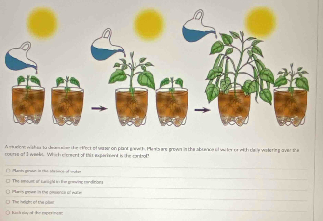 A student wishes to determine the effect of water on plant growth. Plants are grown in the absence of water or with daily watering over the
course of 3 weeks. Which element of this experiment is the control?
Plants grown in the absence of water
The amount of sunlight in the growing conditions
Plants grown in the presence of water
The height of the plant
Each day of the experiment