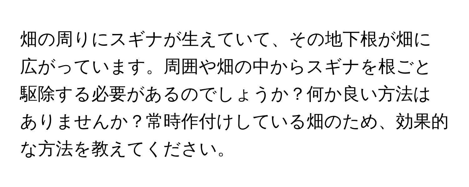 畑の周りにスギナが生えていて、その地下根が畑に広がっています。周囲や畑の中からスギナを根ごと駆除する必要があるのでしょうか？何か良い方法はありませんか？常時作付けしている畑のため、効果的な方法を教えてください。