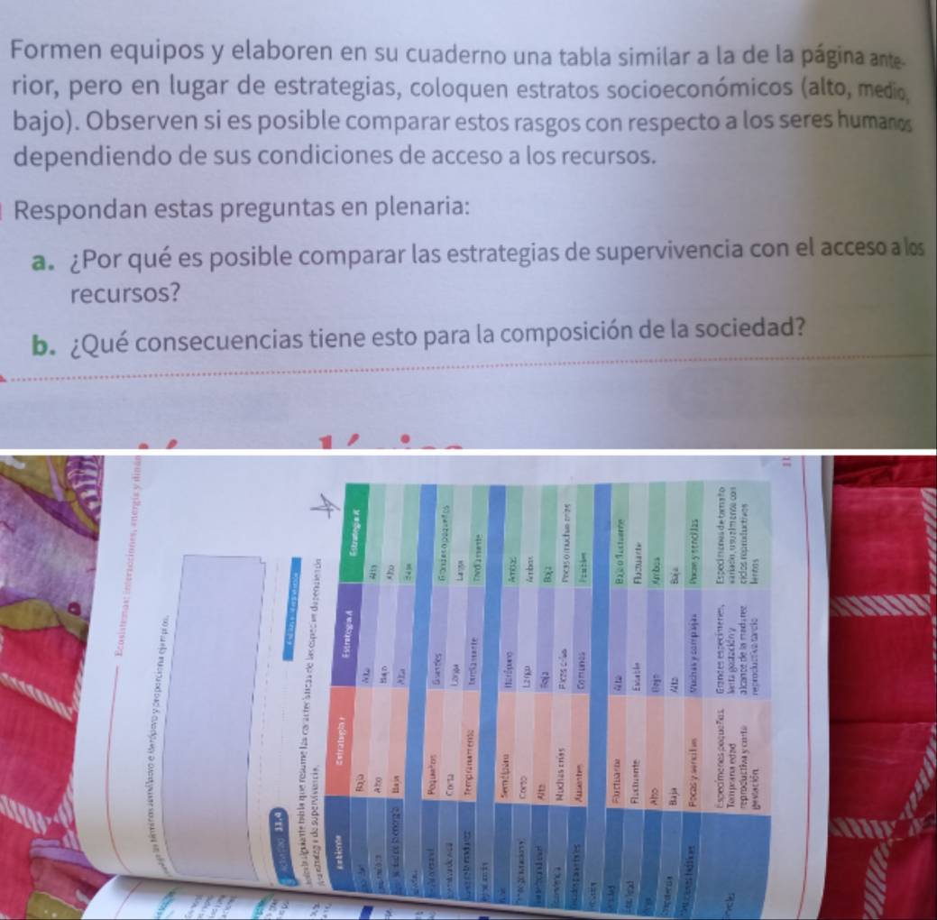 Formen equipos y elaboren en su cuaderno una tabla similar a la de la página ante 
rior, pero en lugar de estrategias, coloquen estratos socioeconómicos (alto, medio, 
bajo). Observen si es posible comparar estos rasgos con respecto a los seres humanos 
dependiendo de sus condiciones de acceso a los recursos. 
Respondan estas preguntas en plenaria: 
a. ¿Por qué es posible comparar las estrategias de supervivencia con el acceso a los 
recursos? 
b. ¿Qué consecuencias tiene esto para la composición de la sociedad?