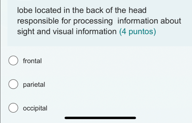 lobe located in the back of the head
responsible for processing information about
sight and visual information (4 puntos)
frontal
parietal
occipital