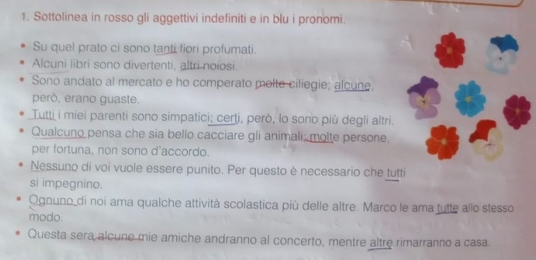 Sottolinea in rosso gli aggettivi indefiniti e in blu i pronomi. 
Su quel prato ci sono tanti fiori profumati. 
Alcuni libri sono divertenti, altri noiosi. 
Sono andato al mercato e ho comperato molte ciliegie; alcune, 
però, erano guaste. 
Tutti i miei parenti sono simpatici; certi, però, lo sono più degli altri. 
Qualcuno pensa che sia bello cacciare gli animali; molte persone, 
per fortuna, non sono d'accordo. 
Nessuno di voi vuole essere punito. Per questo è necessario che tutti 
si impegnino. 
Ognuno di noi ama qualche attività scolastica più delle altre. Marco le ama tutte allo stesso 
modo. 
Questa sera alcune mie amiche andranno al concerto, mentre altre rimarranno a casa