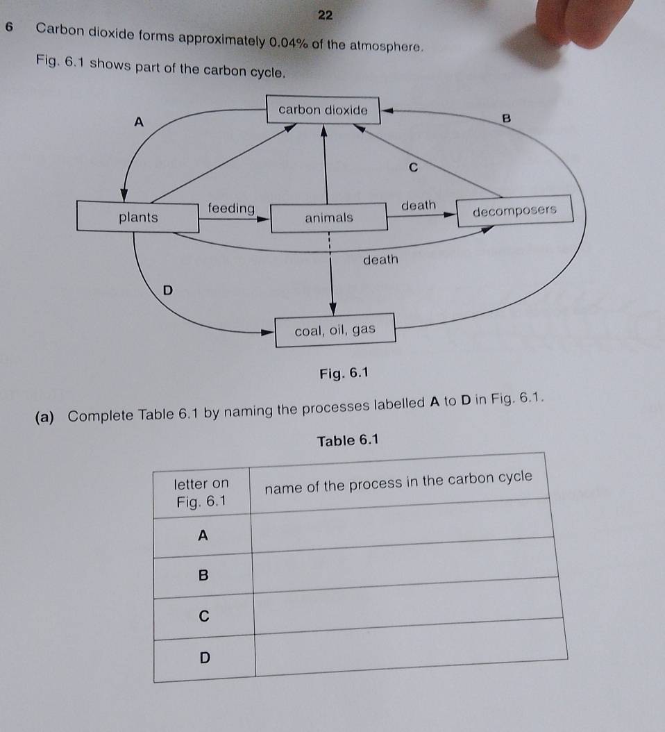 22 
6 Carbon dioxide forms approximately 0.04% of the atmosphere. 
Fig. 6.1 shows part of the carbon cycle. 
(a) Complete Table 6.1 by naming the processes labelled A to D in Fig. 6.1.