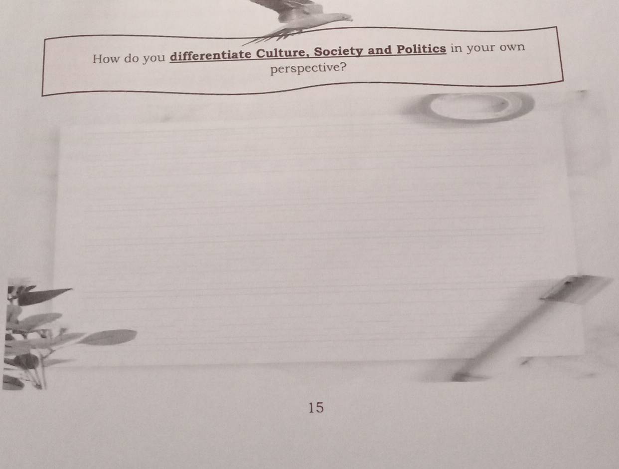 How do you differentiate Culture, Society and Politics in your own 
perspective?
15